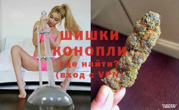 spice Балахна