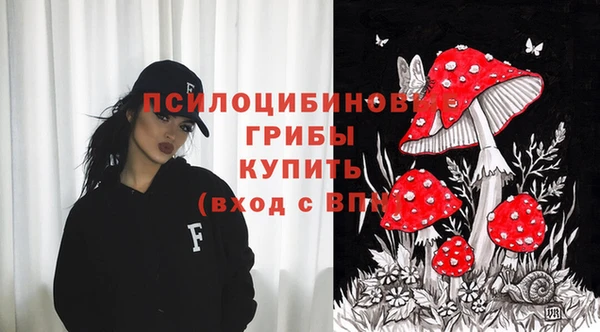 spice Балахна