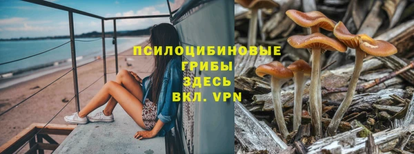 эйфоретик Баксан