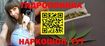 гидра Краснокаменск