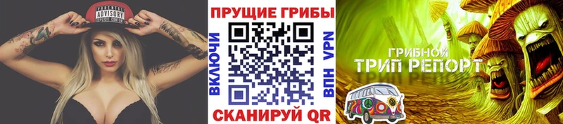 Галлюциногенные грибы Psilocybe продажа наркотиков Корсаков