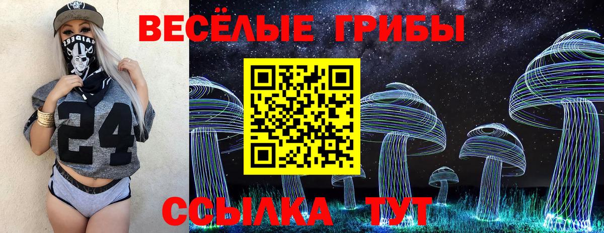 Псилоцибиновые грибы мухоморы  Псилоцибиновые грибы Psilocybine cubensis  Вход с VPN  Корсаков 